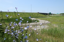 Retention ponds – dry and wet and fieldstone dike