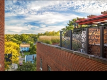 In contrast to the linear perspective of historic building materials and parapet, a nature inspired sculptural screen conceals mechanical equipment, acts as a guard and is a visual transition between plantings and neighbourhood below.