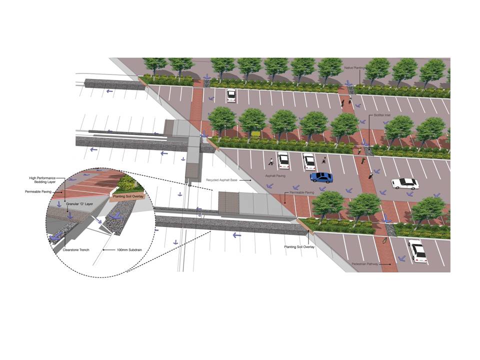 Parking Green: Sustainable Parking Practices in NYC