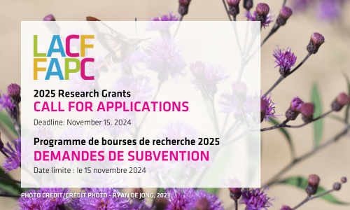 2025 Research Grants call for applications, Deadline November 15, 2024