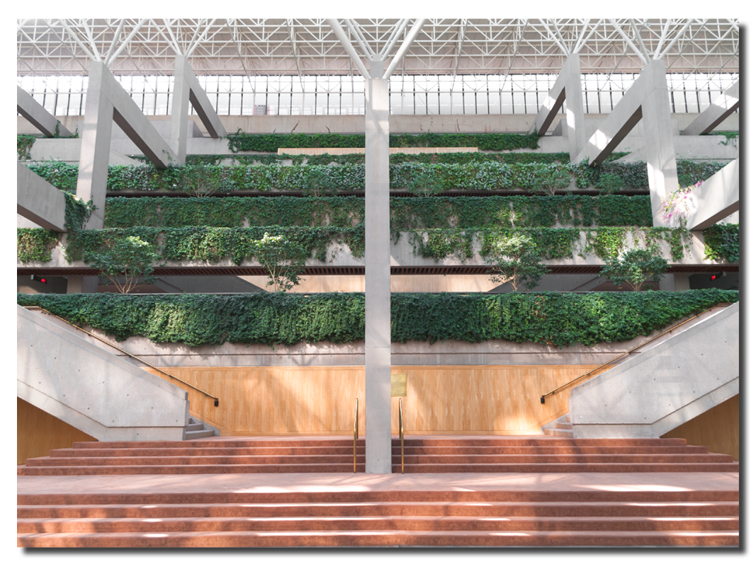 Concrete stairs in an atrium with vertical plantings