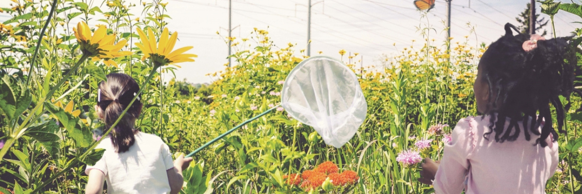 Children playing in field