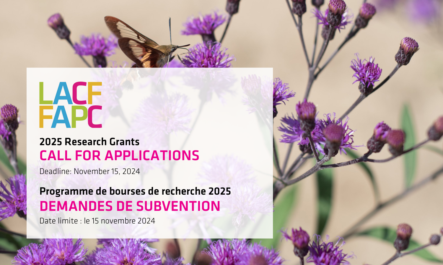 LACF Research Grants 2025