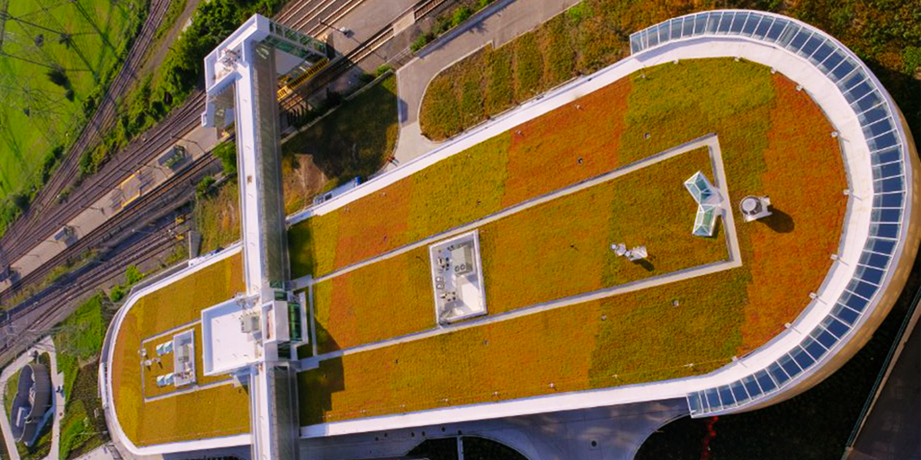 Kipling GO green roof for stormwater retention and detention. (Image: LiveRoof)