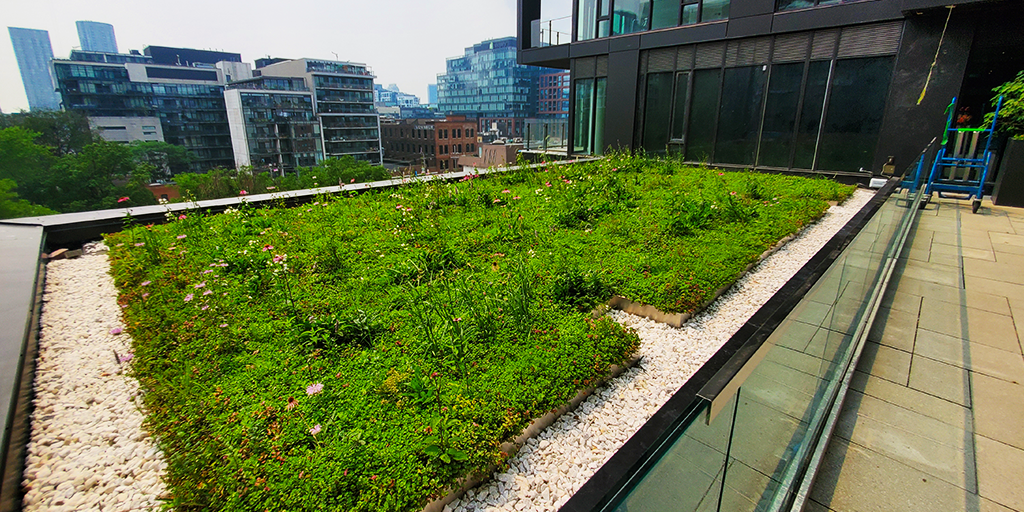 Planting installed at Waterworks (Image: JRS)