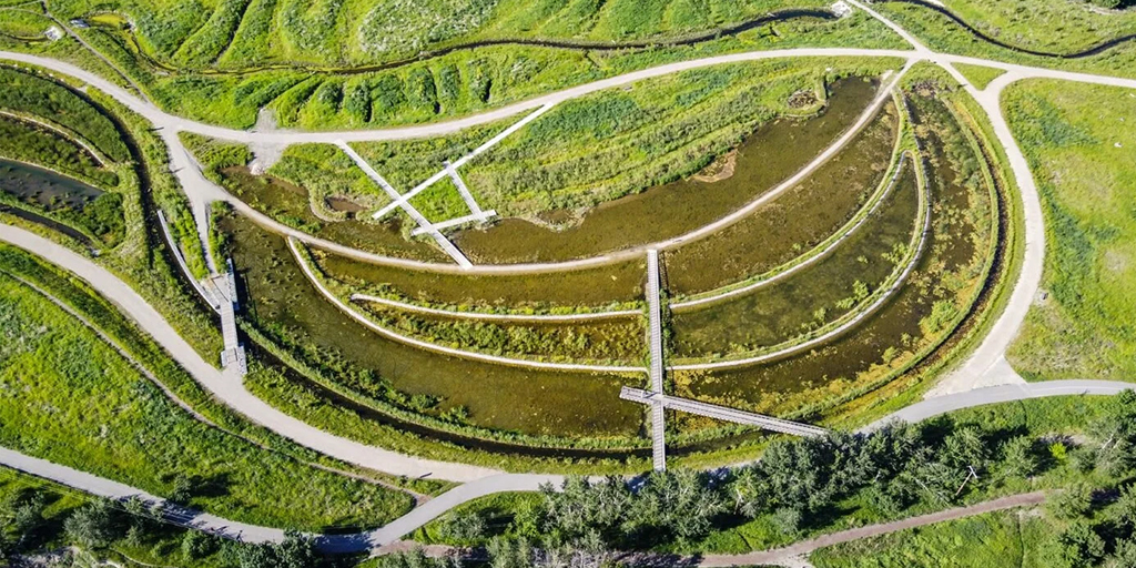 Polishing marsh and wet meadow