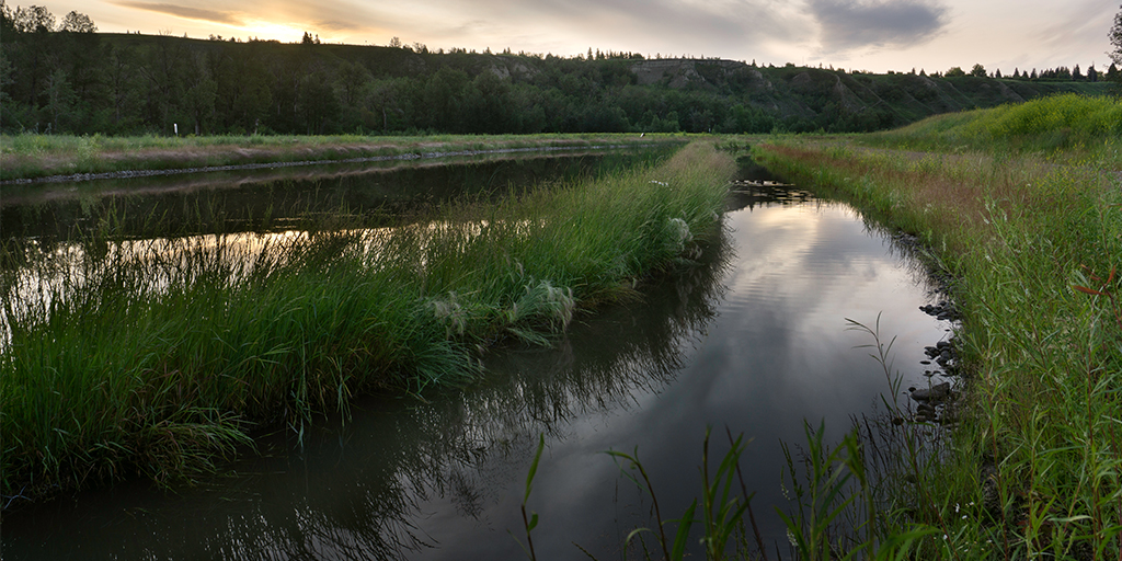 East view of naturalized stream
