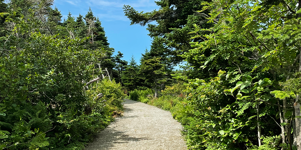 Christopher’s Path section construction completed in 2025. (Image: M&W)