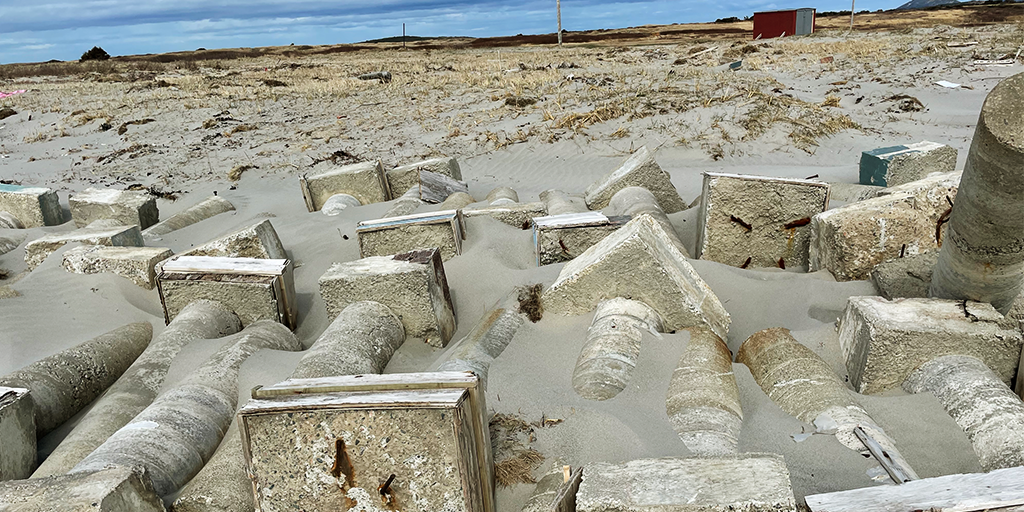 Concrete footings and former boardwalk remnants retained as interpretive features.(Image: M&W)