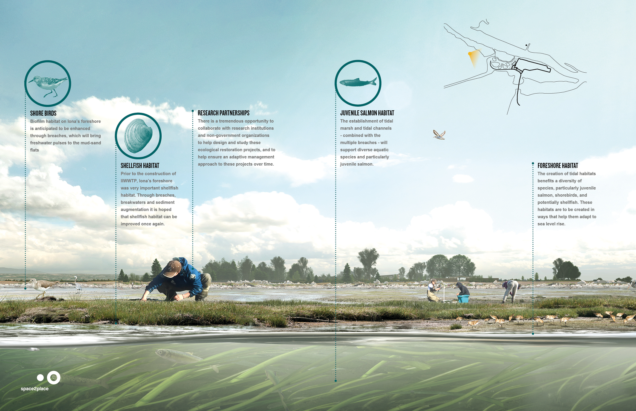 Foreshore habitat rendered perspective