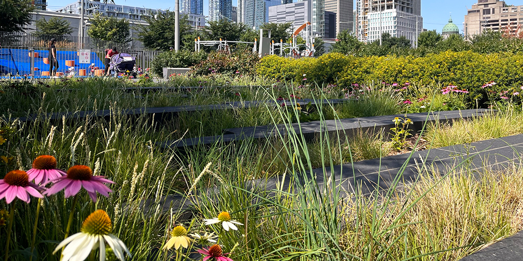 Naturalized Garden. [Rousseau Lefebvre]