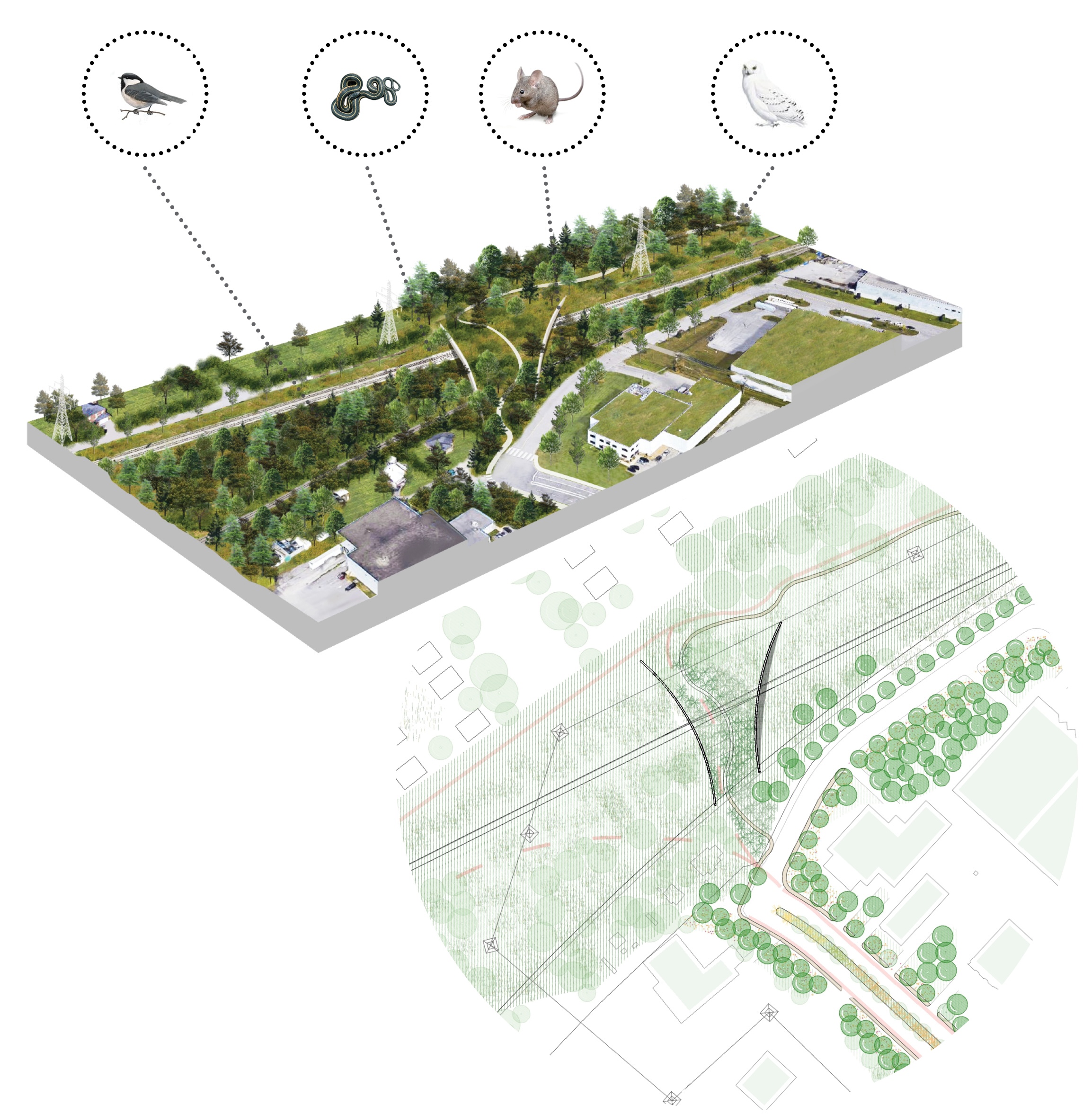 Potential wildlife overpass connection.&nbsp;(Image: LAND)