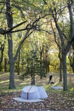 Place-markers along a forest path