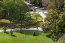 Paths and drifts of planting are woven together through the park to support circulation and gathering.