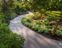 The repair and restoration of damaged features on the pathways, as well as the introduction of new ones, has broadened the understanding of the collection to the public by increasing its exposure.