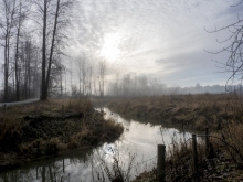 A view of the bog off channels from the newly created river trail.