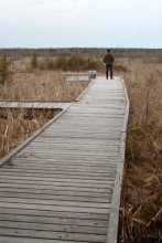 South Fen Peninsula Node providing view over Brokenhead Wetland Ecological Reserve to west.