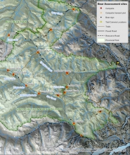 A bear hazard assessment provided direction in reducing & preventing human-bear conflict.