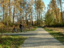 The north site features a trail intersection. One trail follows the river the other leads to the bog.