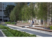 View looking southwest at the west stepped garden.