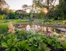 The transformation has rejuvenated the garden’s footprint and holdings with the introduction of perennials which offer more color and greater stability over the previous dependence on spring bulbs.