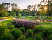 The bold colors in the horticultural design reinforce the increased diversity by expanding the range of species to produce a sustainable plan with increased environmental benefits.