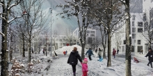 Perspective hivernale montrant la butte de neige au cœur du boisé urbain