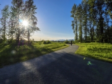 Leaving the north regeneration site into the landscape of the bog.