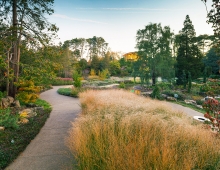 The design relies on flower, foliage, fall color and fruit to add seasonal interest, as well as best practices to include pollinator-friendly plants, native species, and a broad range of drought-tolerant species.