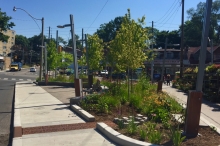 Bioswale with trench drain capturing road water runoff