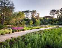 The transformation of this signature garden has respected the look and feel of the iconic heritage garden. Detailed planting records by JRS will increase the educational value of the collection.