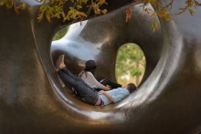 The relocation of the Henry Moore sculpture to the park provides opportunities for interaction within the quiet Grove.