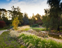 The forested rock walls of the former quarry provide a dramatic three-dimensional backdrop which reinforces the sensory experiences of wonder in this very earthly garden.