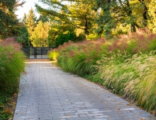 New planting from the gate entry reinforces the concept of the urban boundary garden set in a forested base.