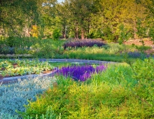 Visitors are surrounded by 28,000 new plants in over 750 species, bringing the garden’s total to 143,800 plants in 2,411 species, as well as 277 bird species and 37 mammal species.