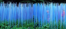 Blue Stick Garden