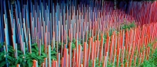 Blue Stick Garden