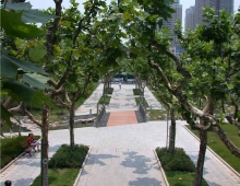 Xujiahui Park