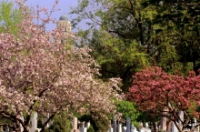 Cimetière Notre-Dame-des-Neiges