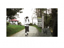 Point Pleasant Park – Regenerate Restore Renew