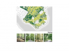Point Pleasant Park – Regenerate Restore Renew