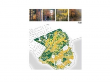 Point Pleasant Park – Regenerate Restore Renew