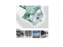 Point Pleasant Park – Regenerate Restore Renew