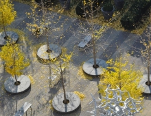 Town Hall Square