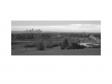 The Calgary Project
