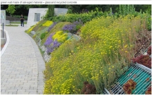 Toronto Botanical Garden