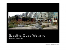 Spadina Quay Wetland