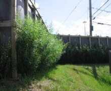 Acoustic Plant Screen