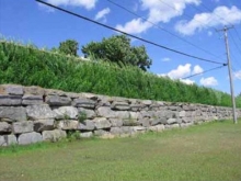 Acoustic Plant Screen