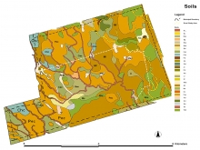 Town of Markham Small Stream Study